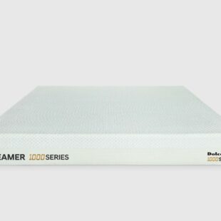 Dreamer 1000 Memory